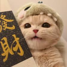 Ảnh đại diện người dùng Đỗ Thế Vinh